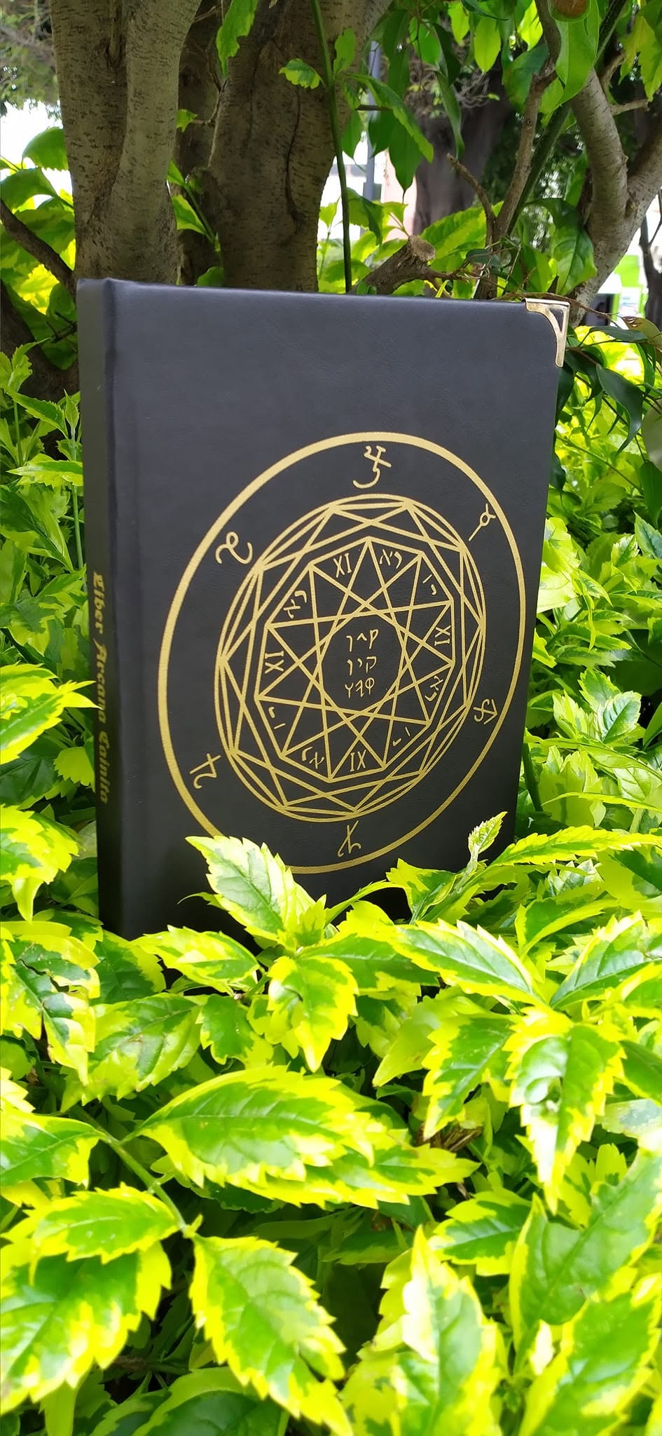 Liber Arcana Cainita por Zulqarnayn XIII