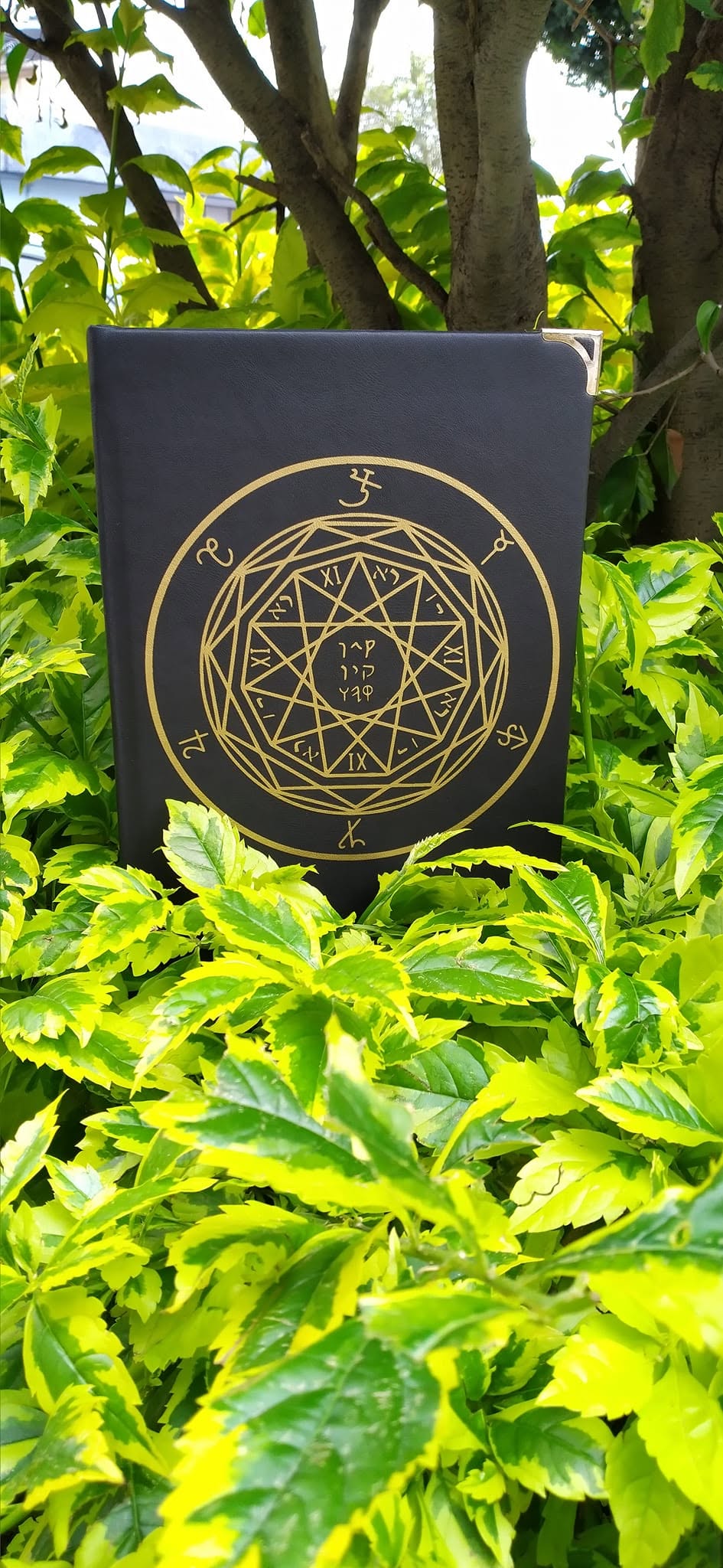 Liber Arcana Cainita por Zulqarnayn XIII - Image 2
